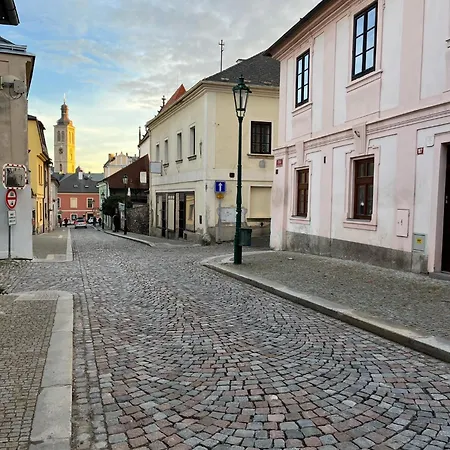 Semesterbostad House With Charming Garden Kutná Hora
