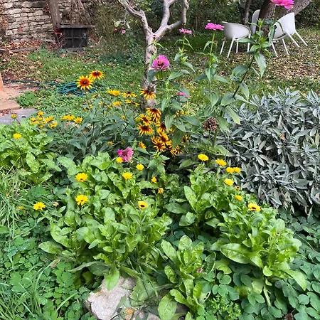House With Charming Garden Semesterbostad *