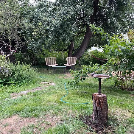 Semesterbostad House With Charming Garden